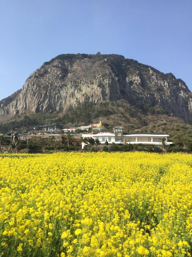 Jeju Moseulpo Hotel Seogwipo Dış mekan fotoğraf